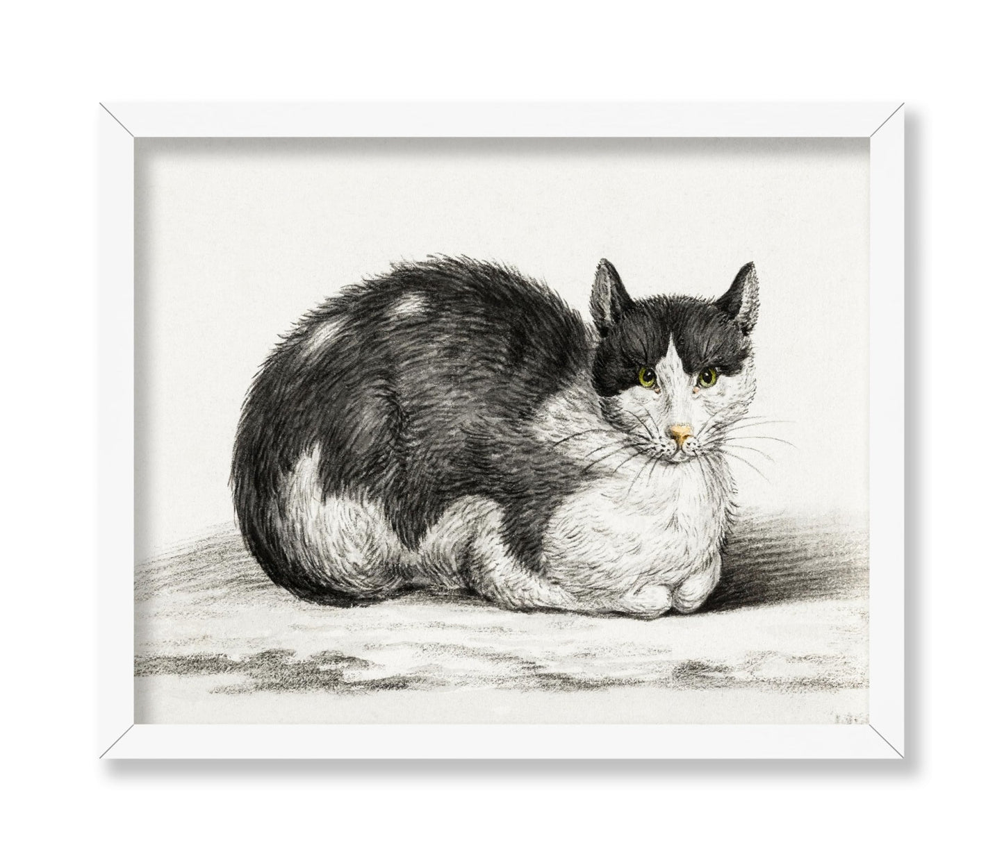 Lying Cat