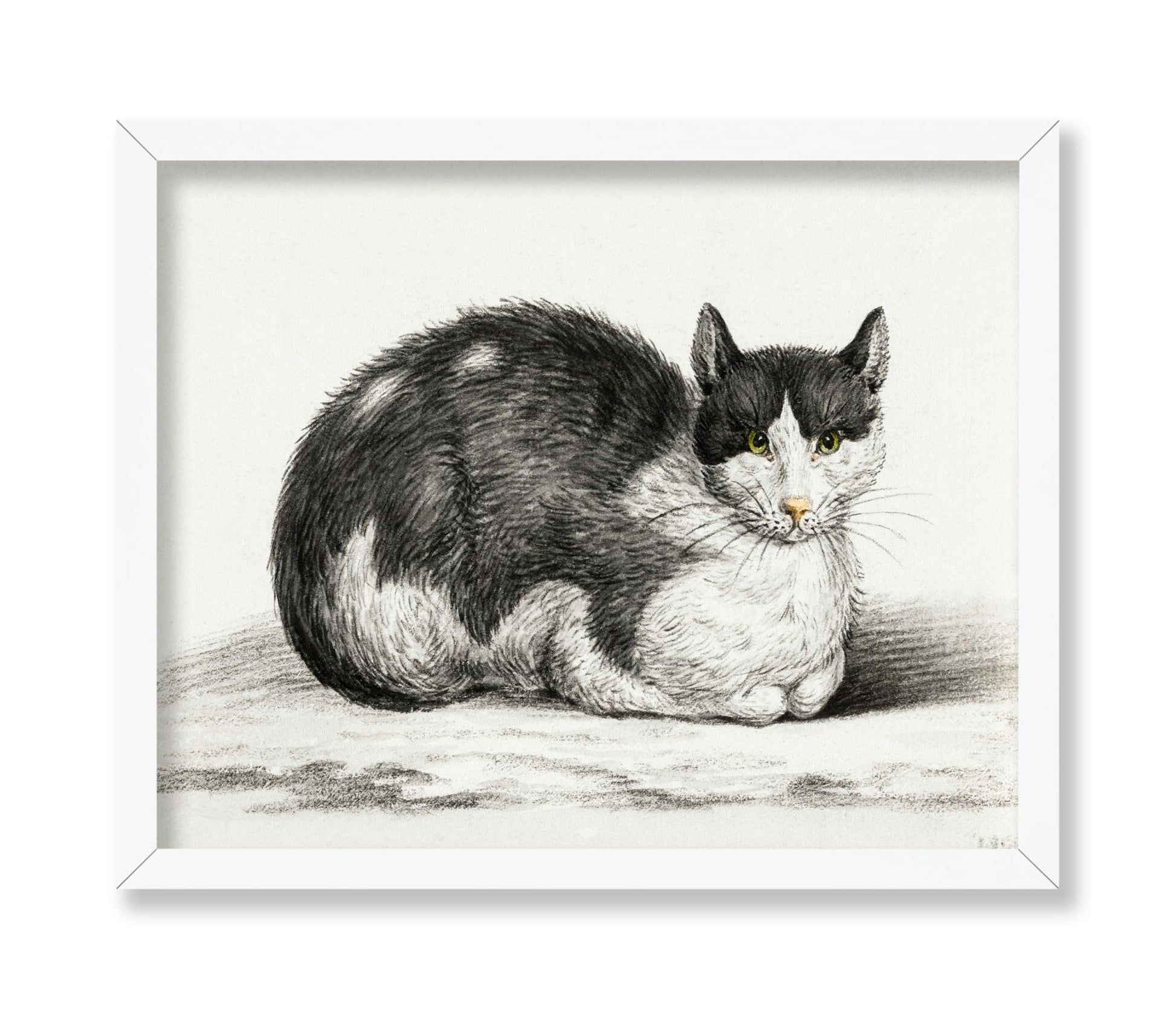 Lying Cat