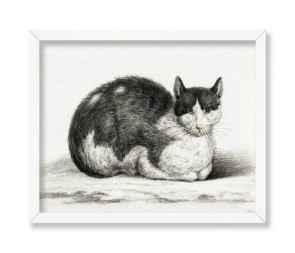 Lying Cat