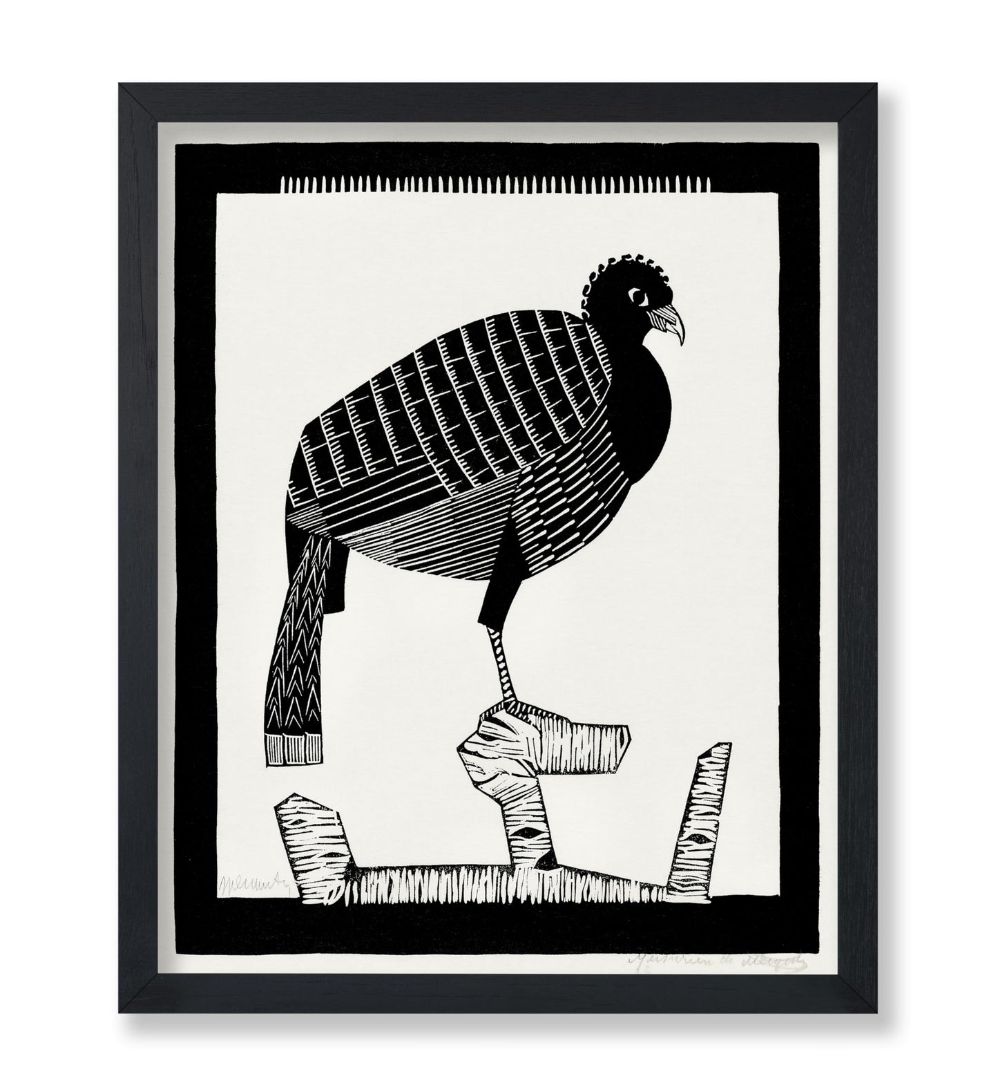 Pauwies Bird