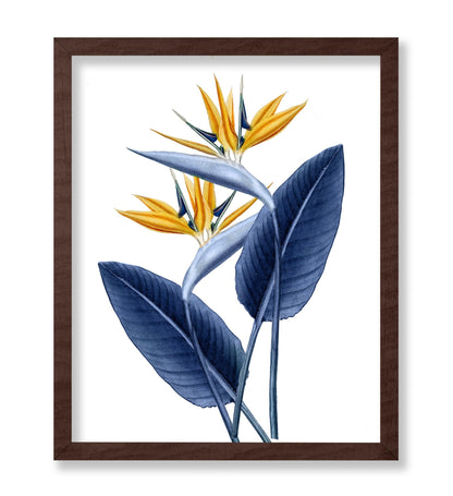 Bird of Paradise No1