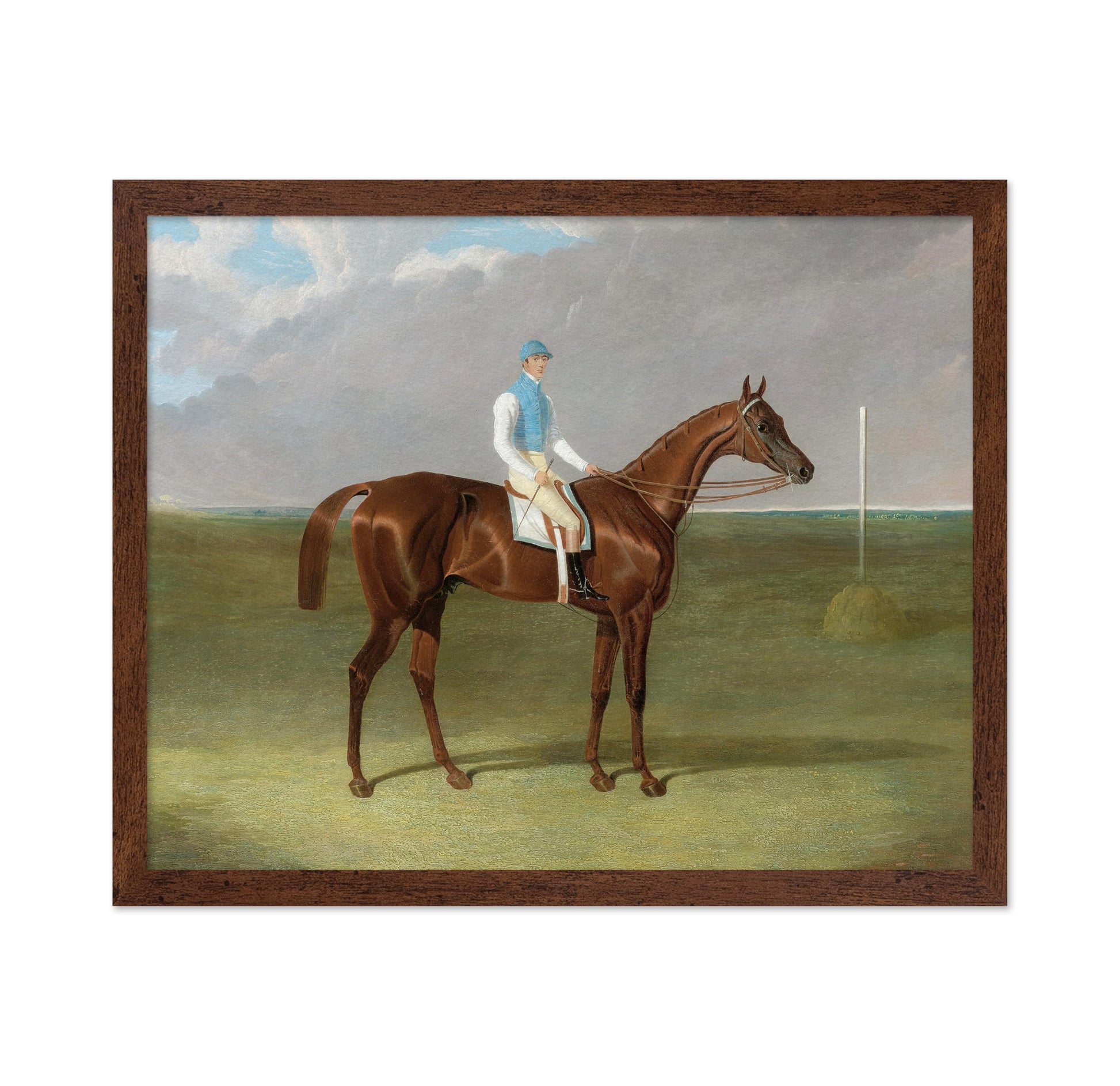 Racehorse with Jockey No2