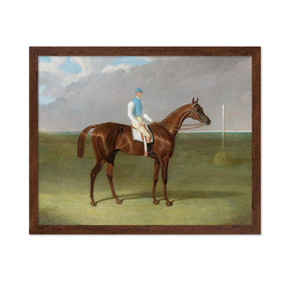 Racehorse with Jockey No2