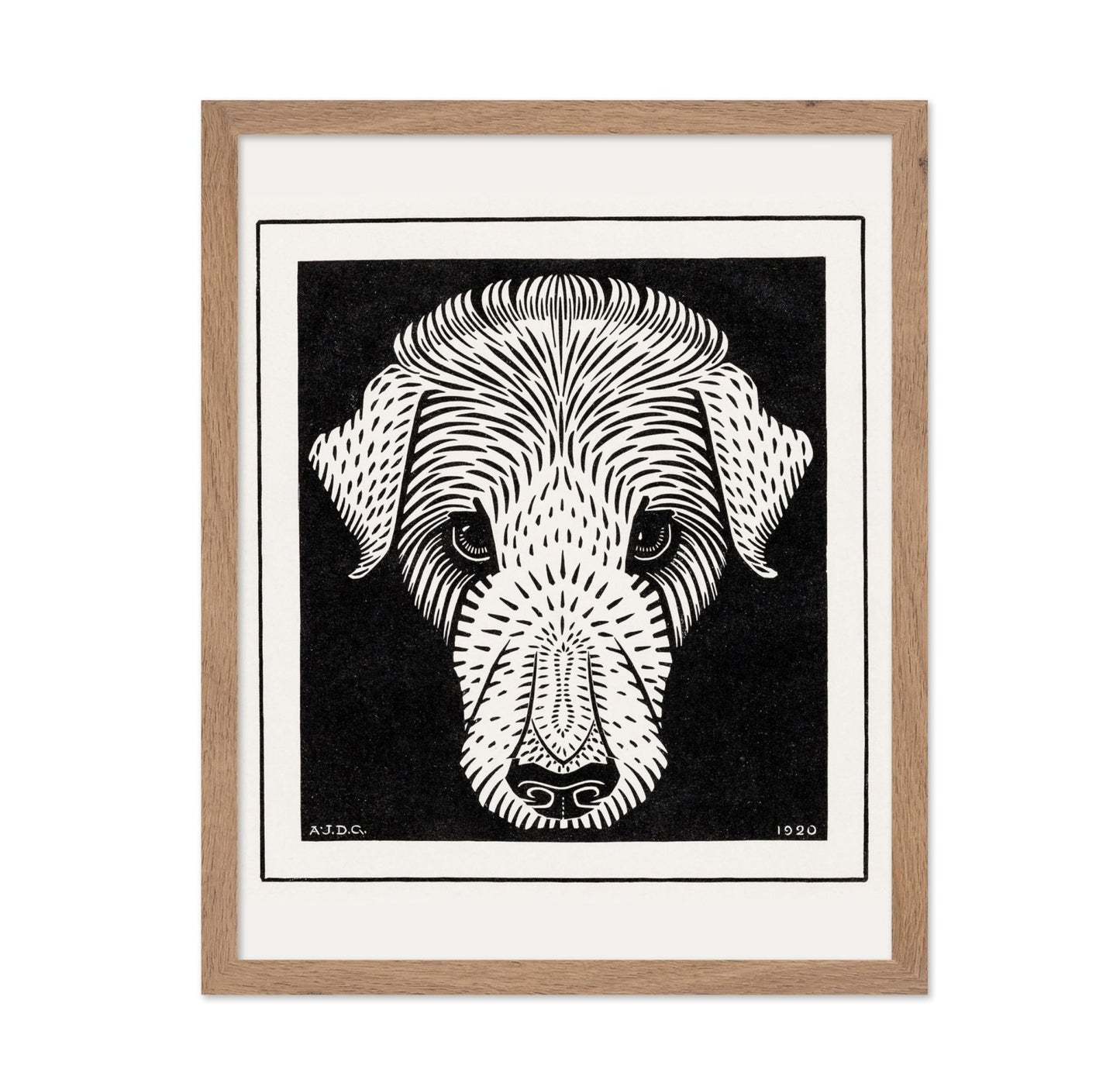 Dog's Head