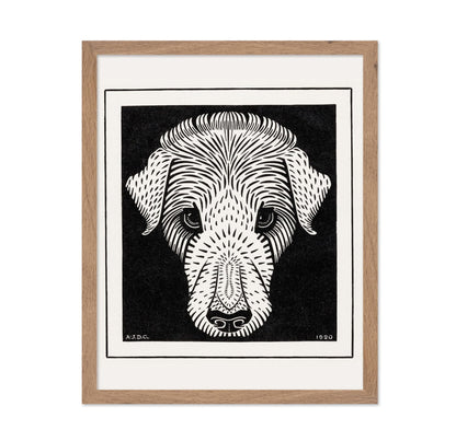 Dog's Head