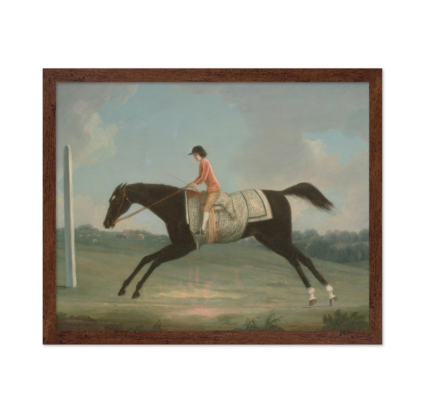 Boy Riding Sultana