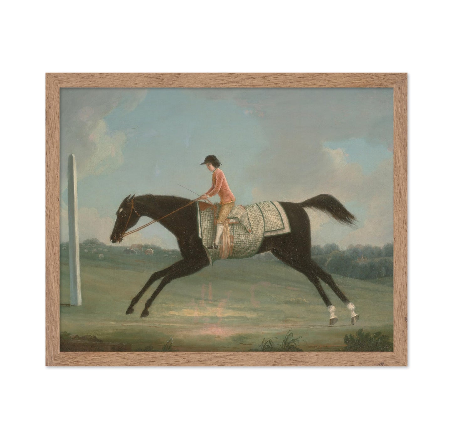 Boy Riding Sultana