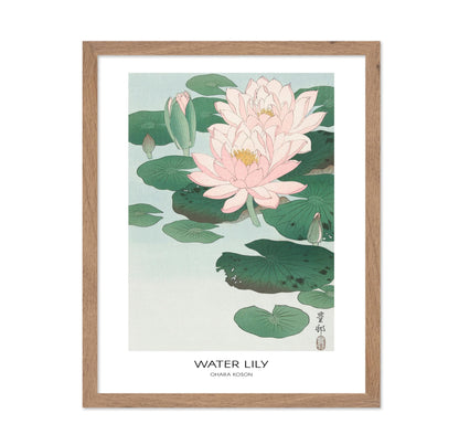 Ohara Koson - Water Lily No1