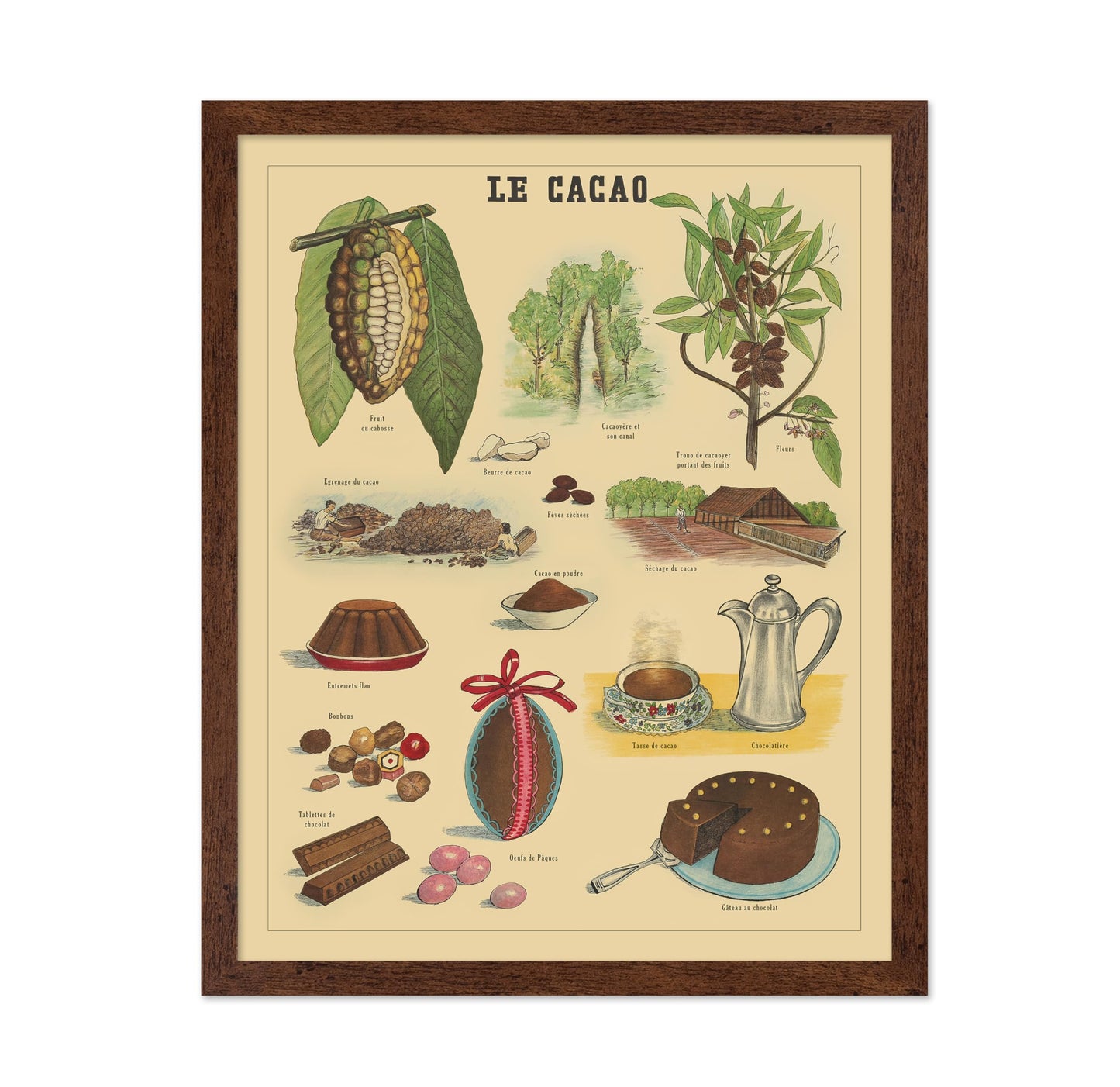 Le Cacao