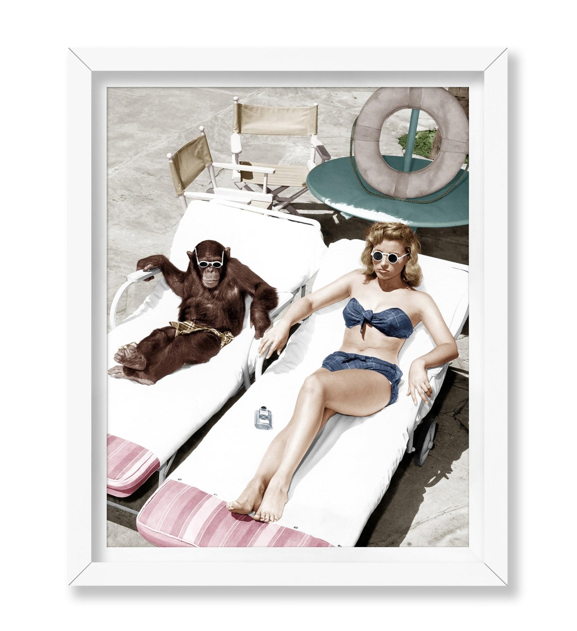 Chimpanzee and a Woman Sunbathing