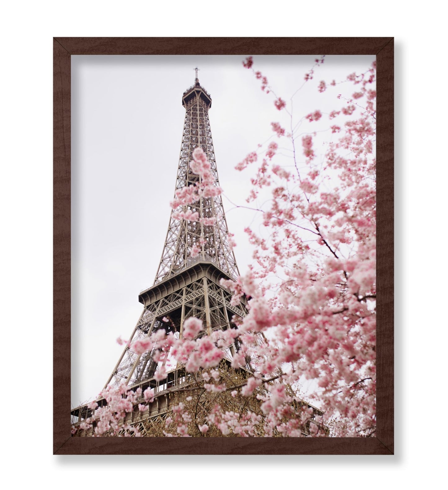 Blooming Paris