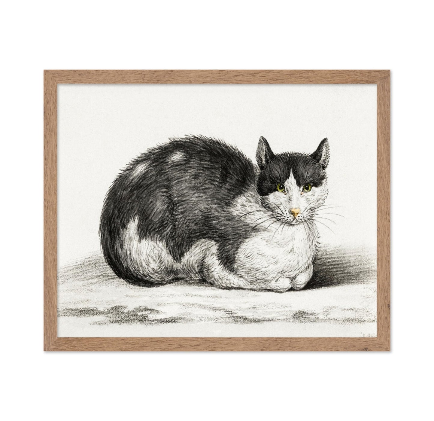 Lying Cat