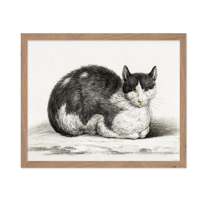 Lying Cat