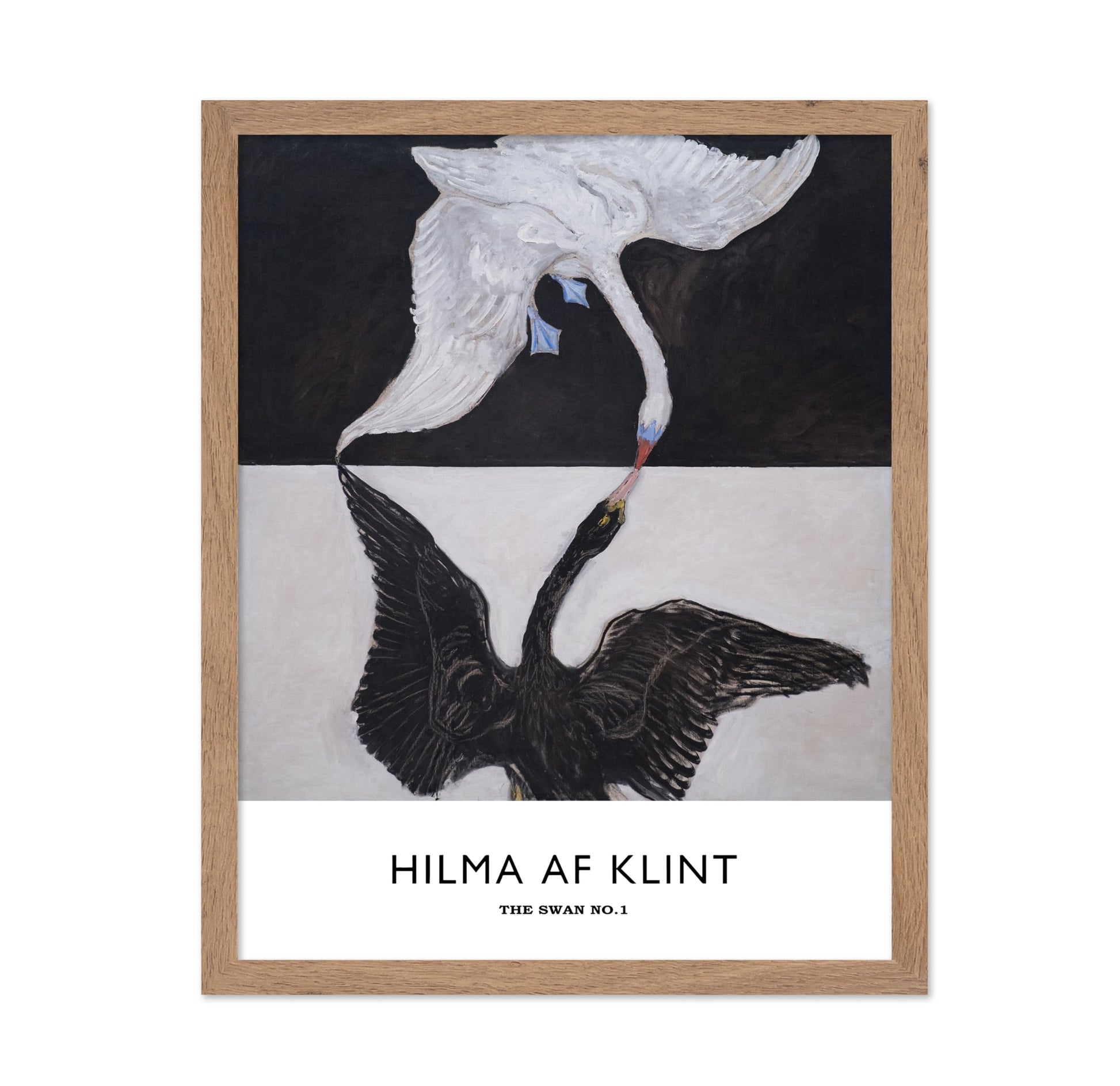 Hilma Af Klimt - The Swan No1