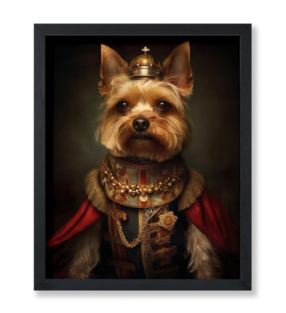 Aristocratic Yorkshire Terrier