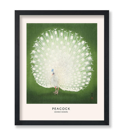 Ohara Koson - Peacock No1