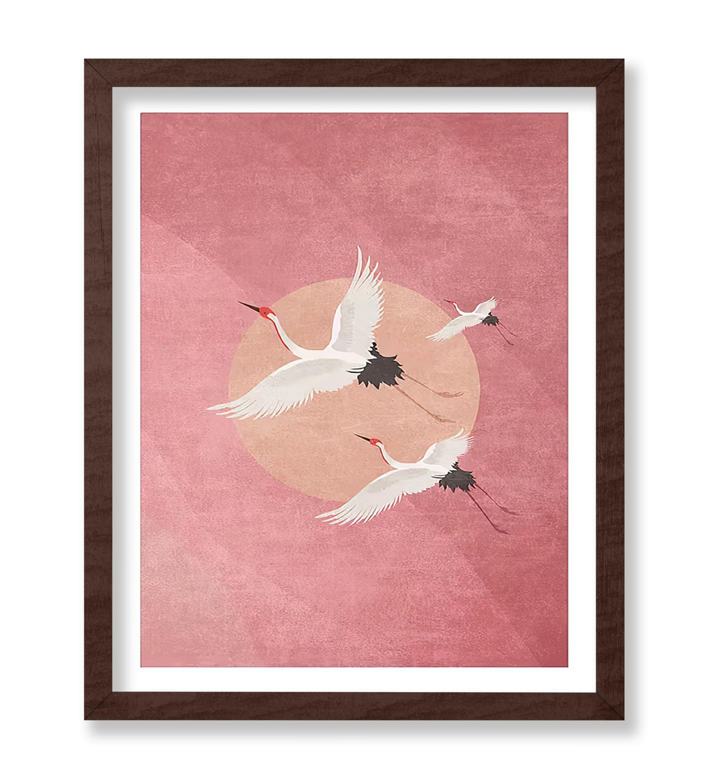Flying Cranes, Pink Sky And Sun