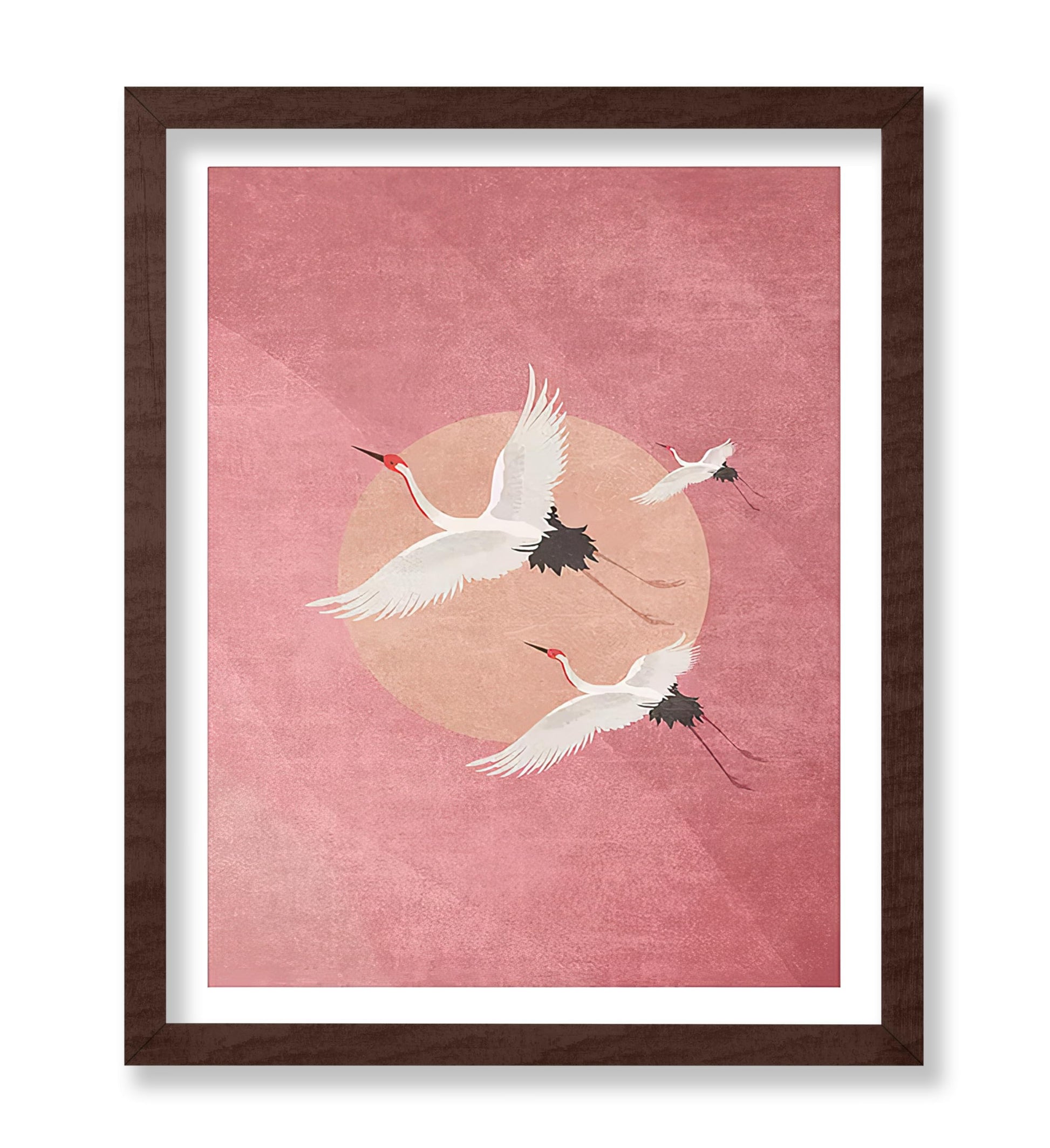Flying Cranes, Pink Sky And Sun