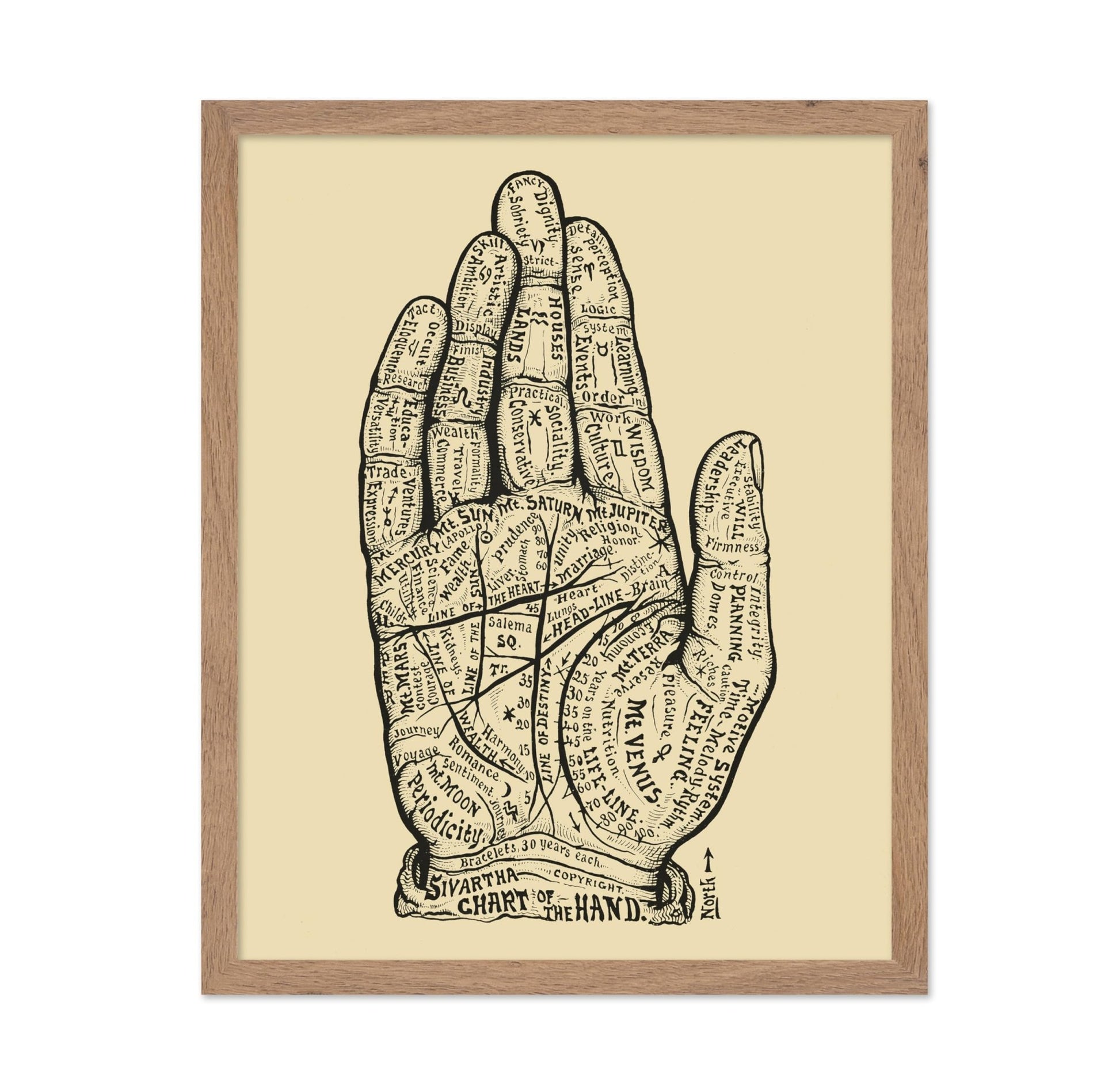 Chart of the Hand