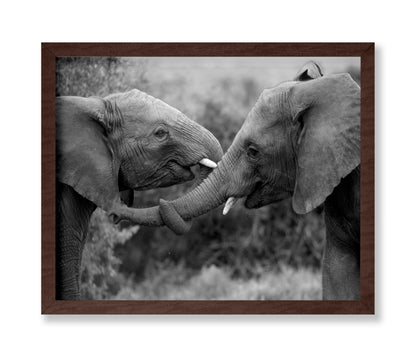Caring Elephants