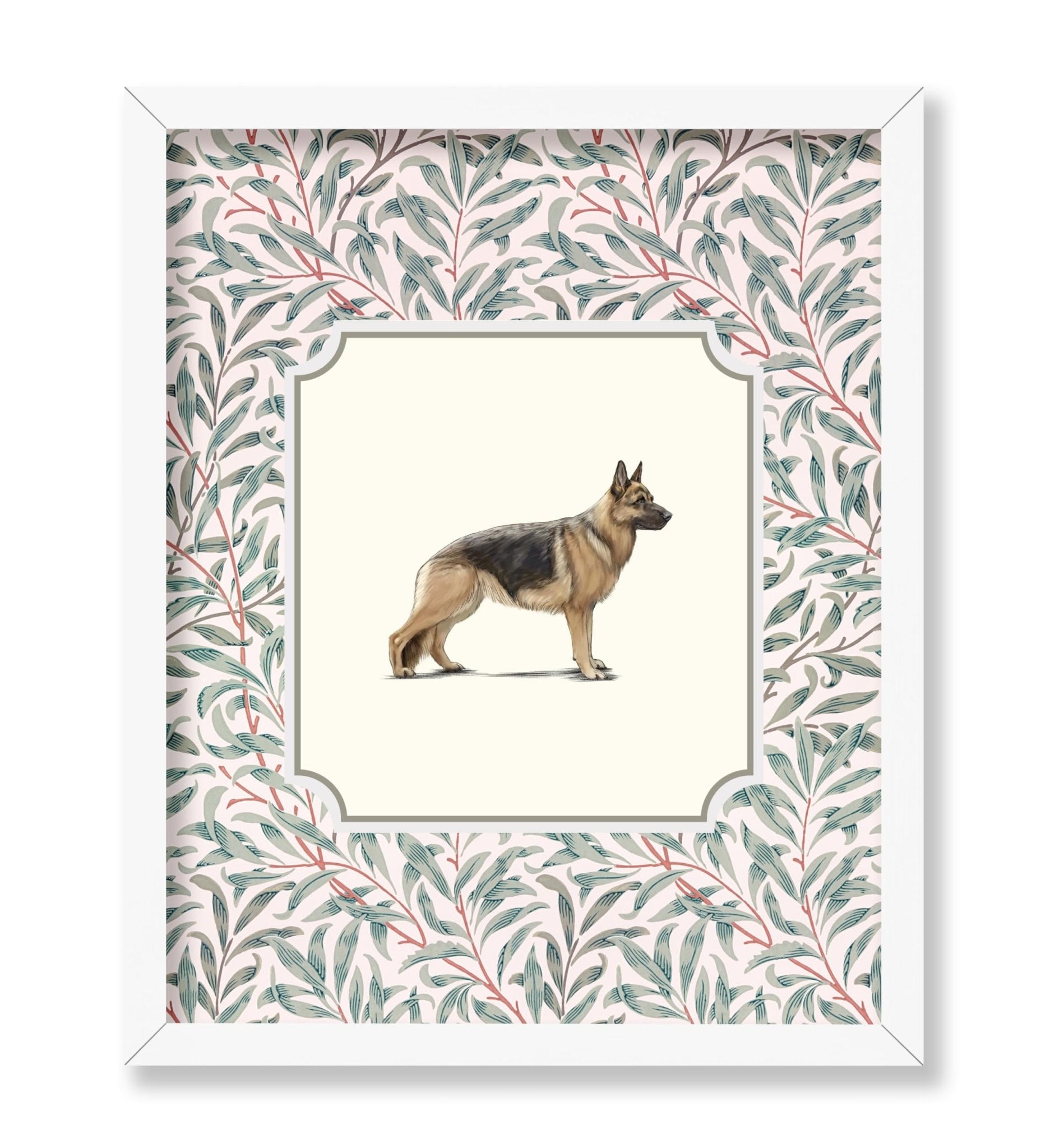 German Shepherd