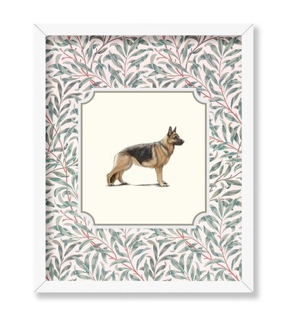 German Shepherd