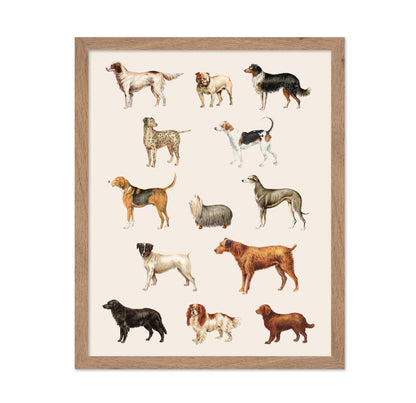 Dog Breeds