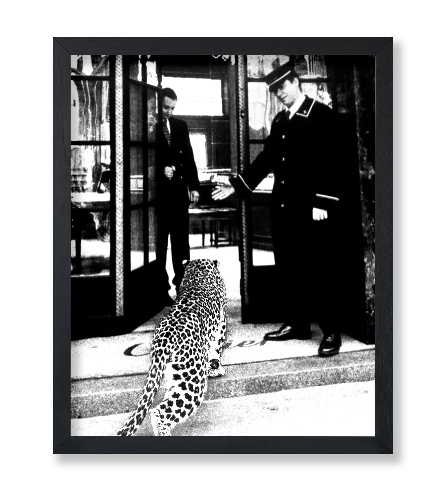 Panther in Fashion Boutique