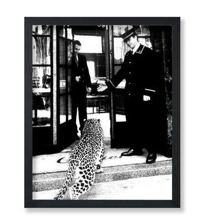 Panther in Fashion Boutique
