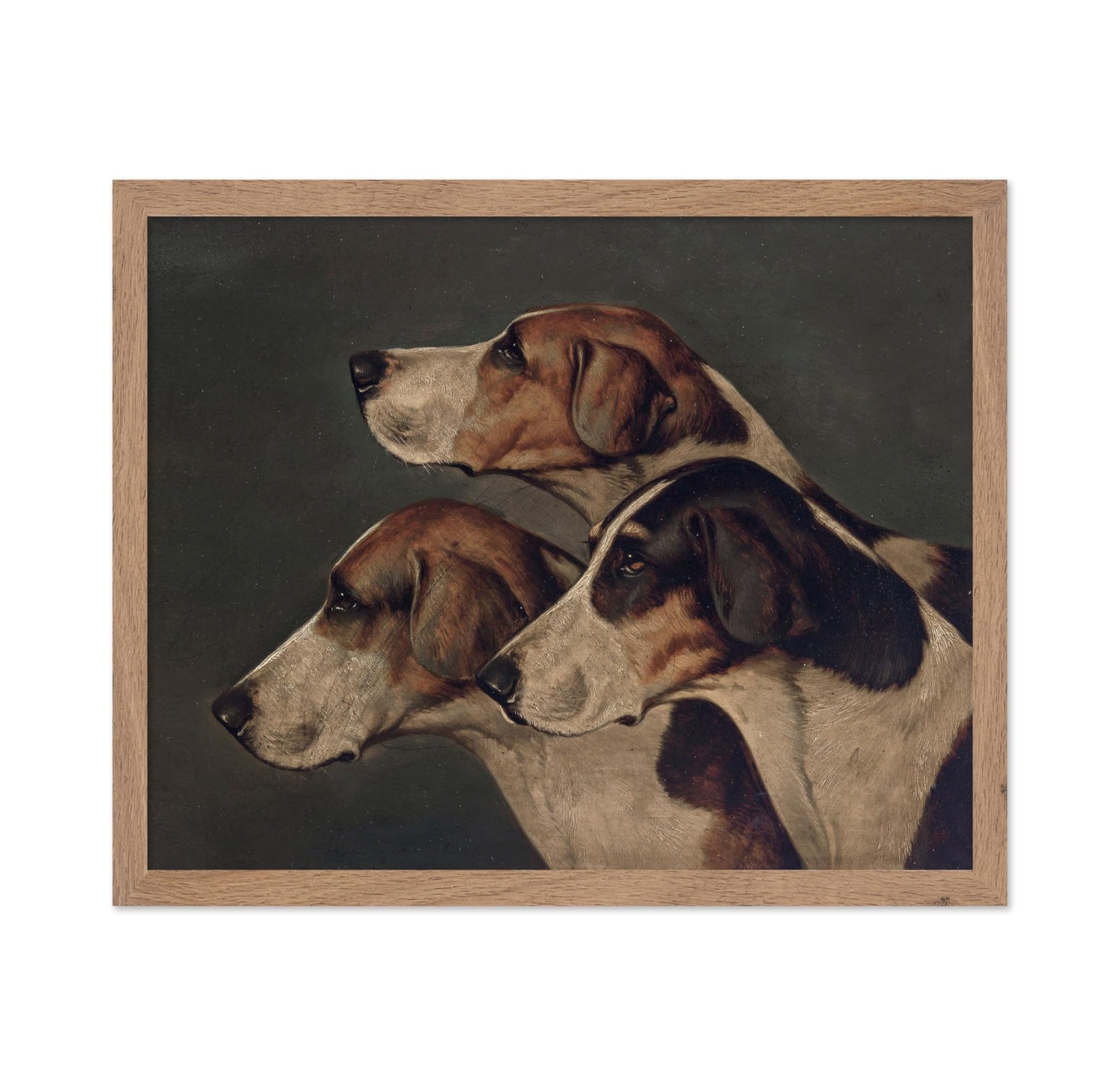 John Arnold Wheeler - Three English Foxhounds