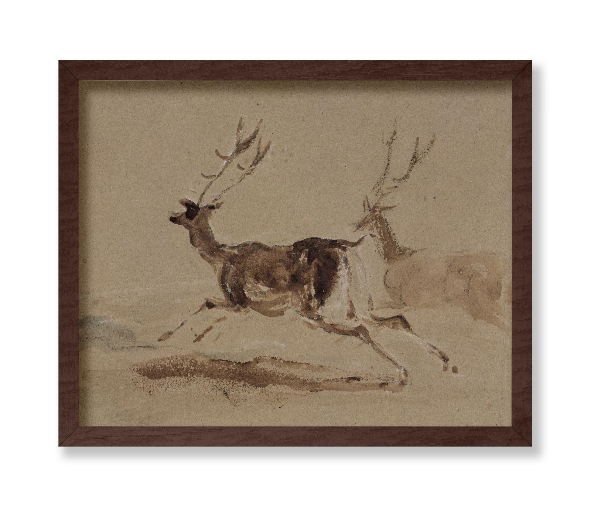 Two Stags Running
