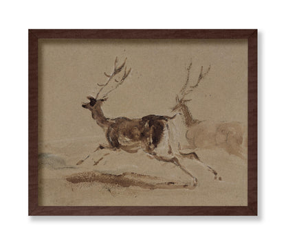 Two Stags Running