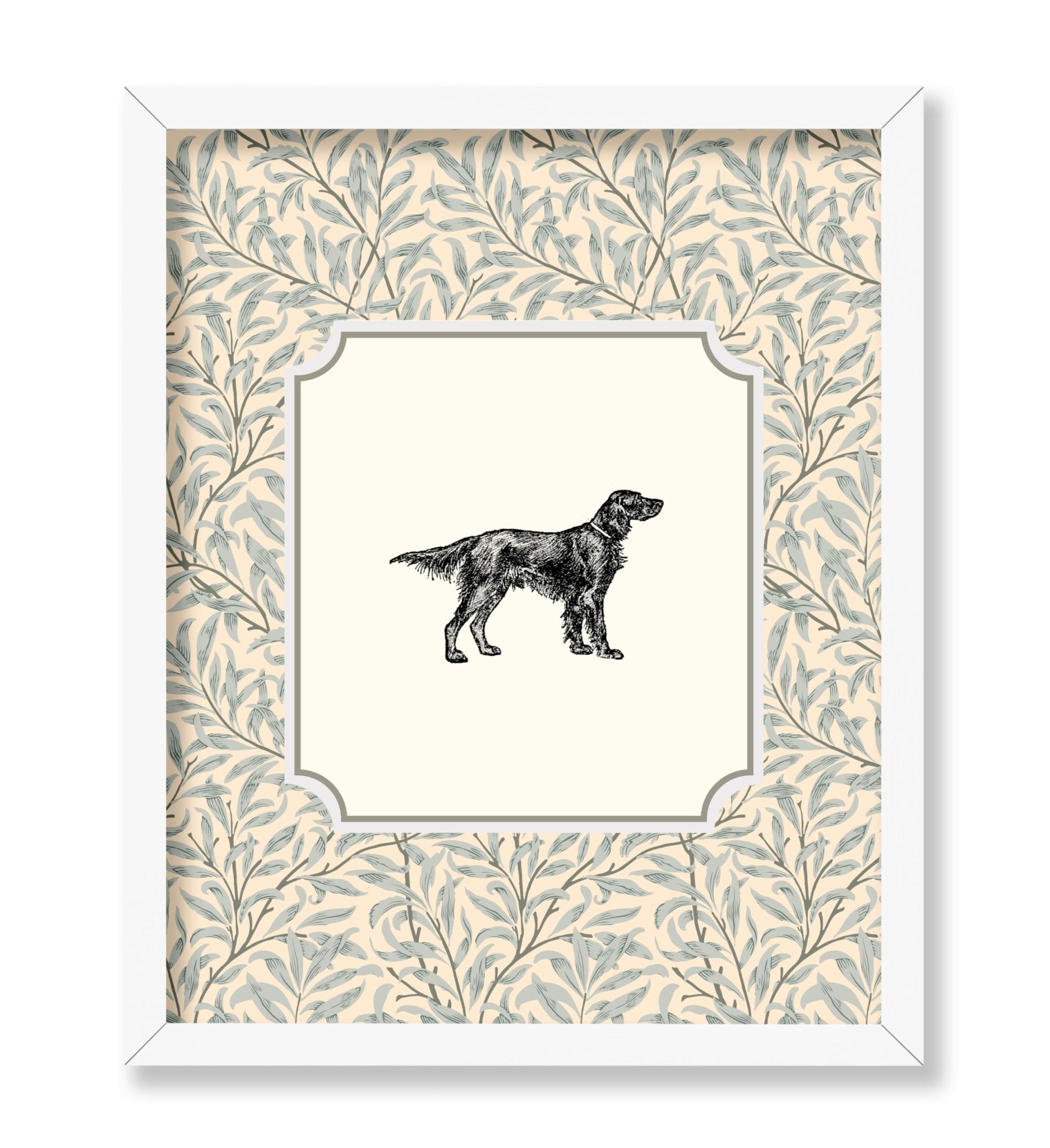 Irish Setter