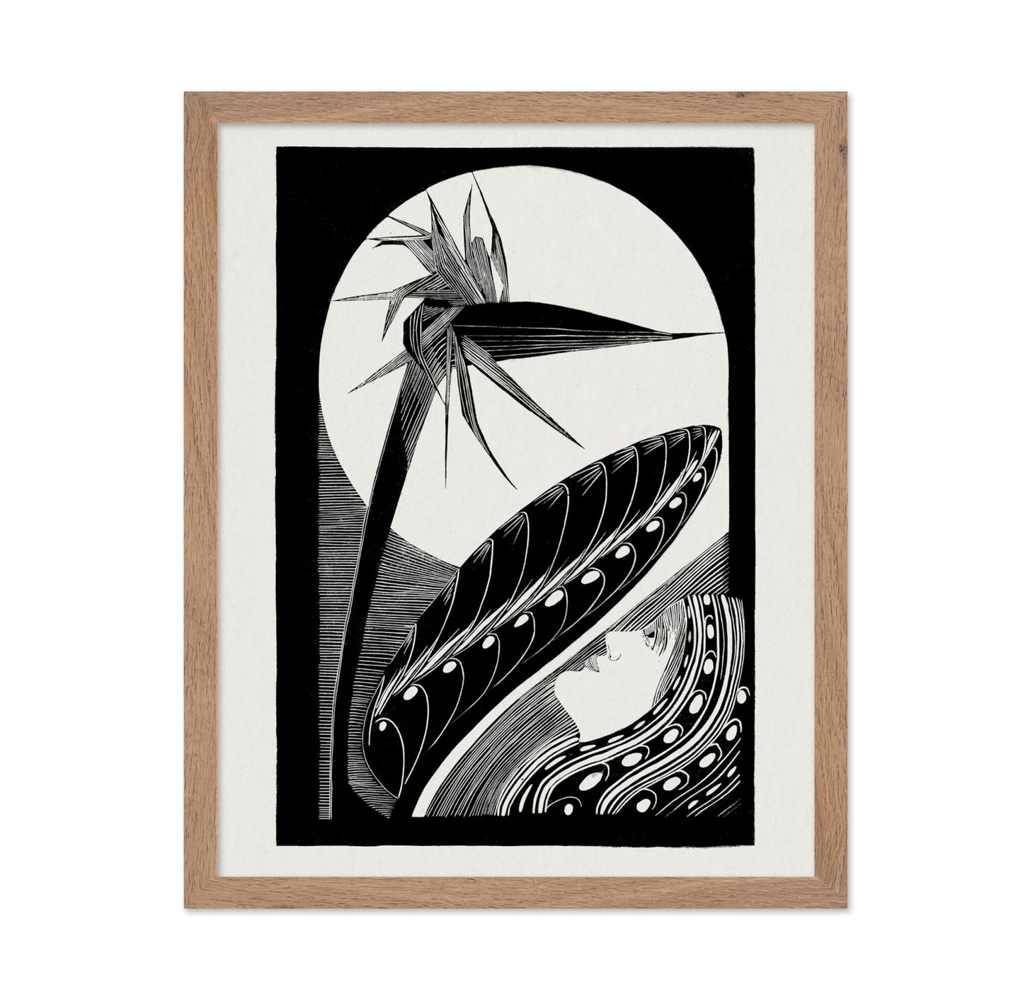 Strelitzia Overblown