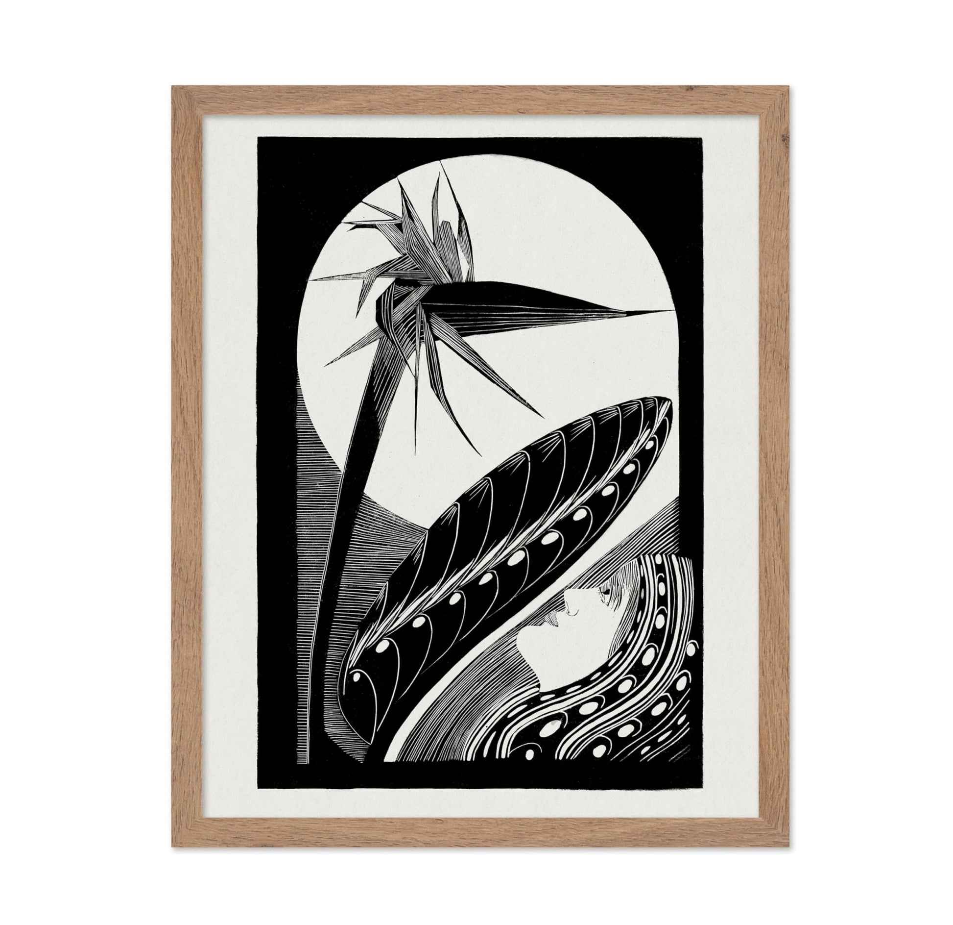 Strelitzia Overblown