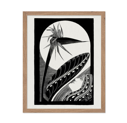 Strelitzia Overblown