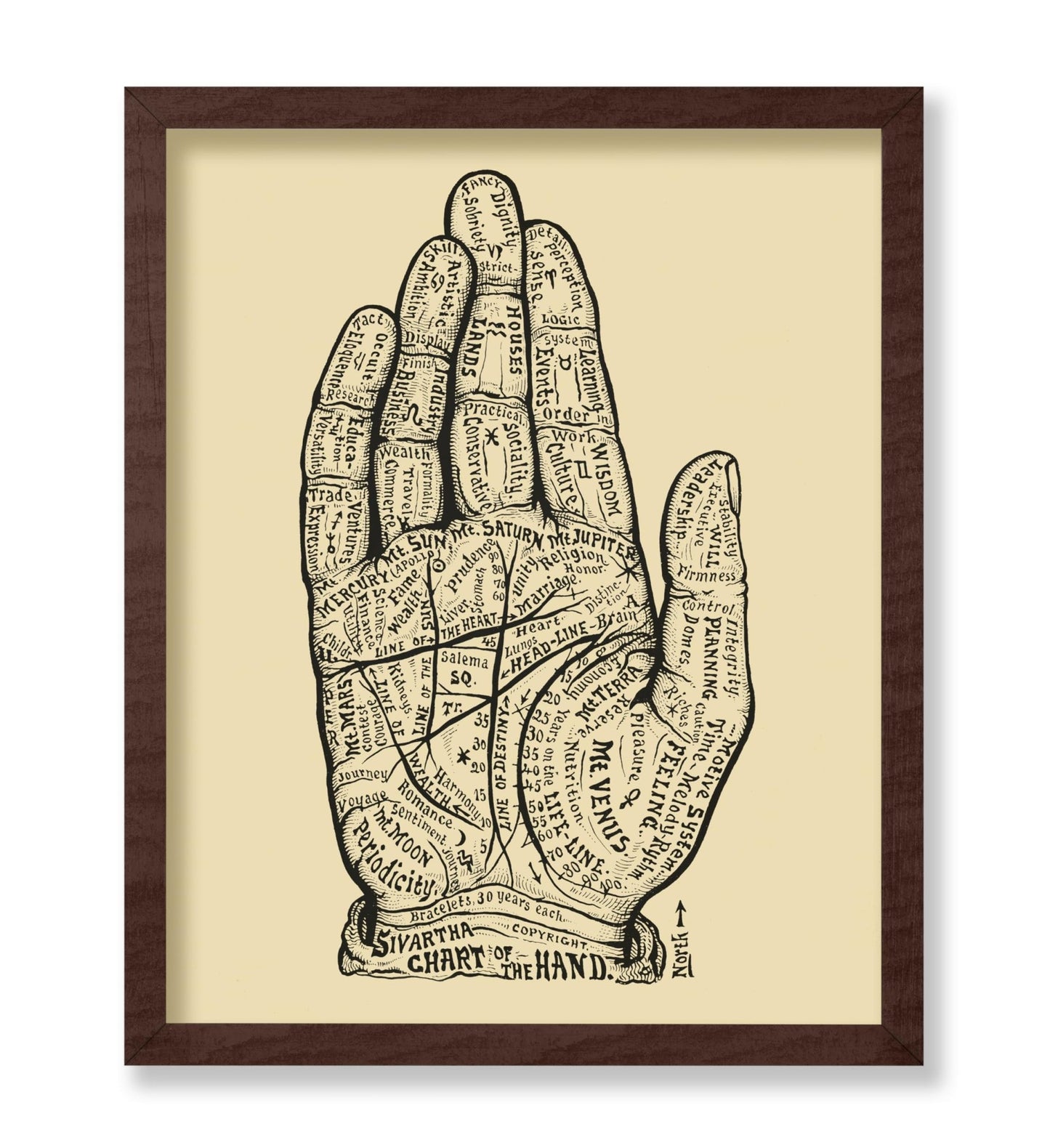 Chart of the Hand