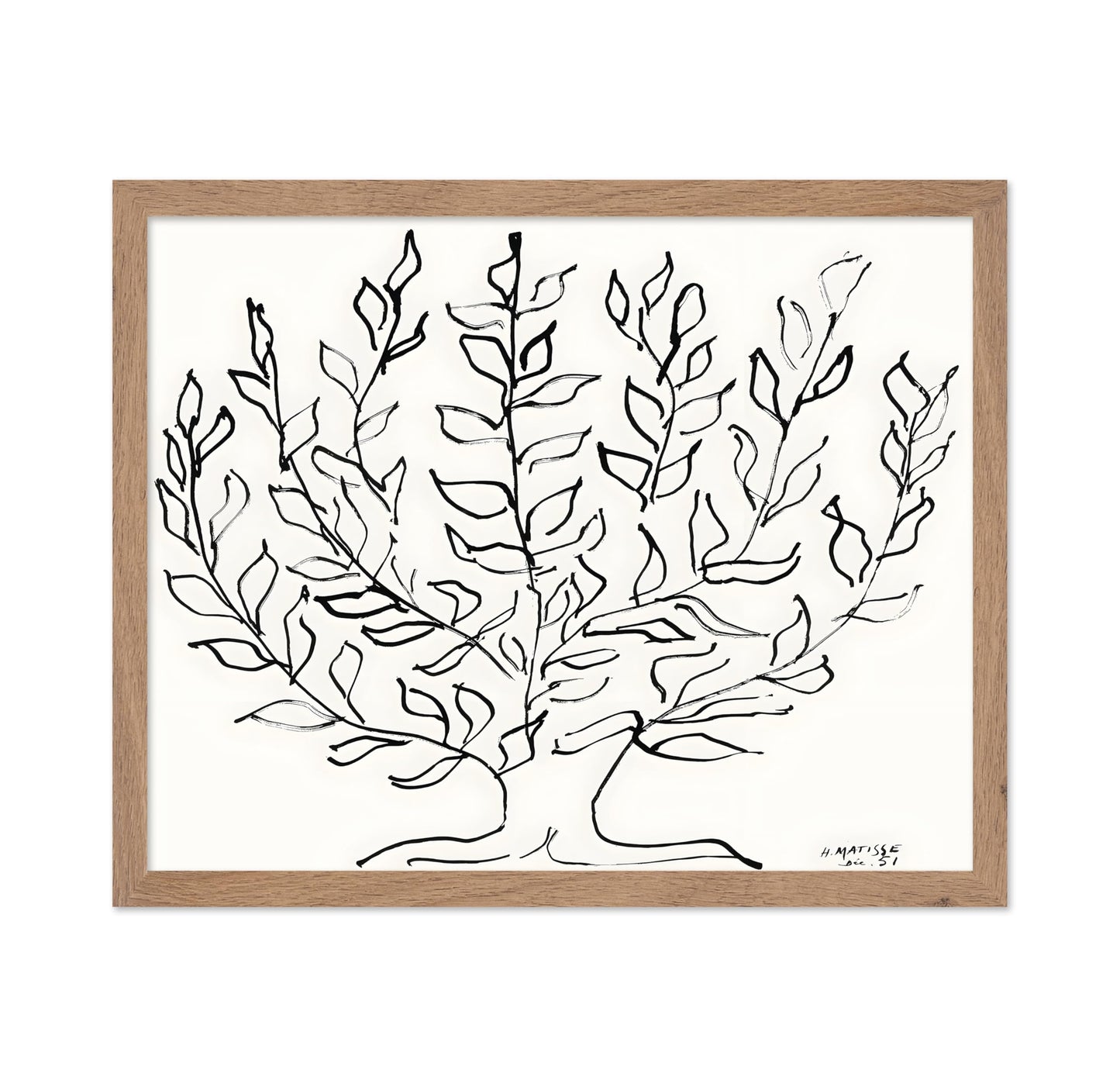 Henri Matisse - Plain Tree No2