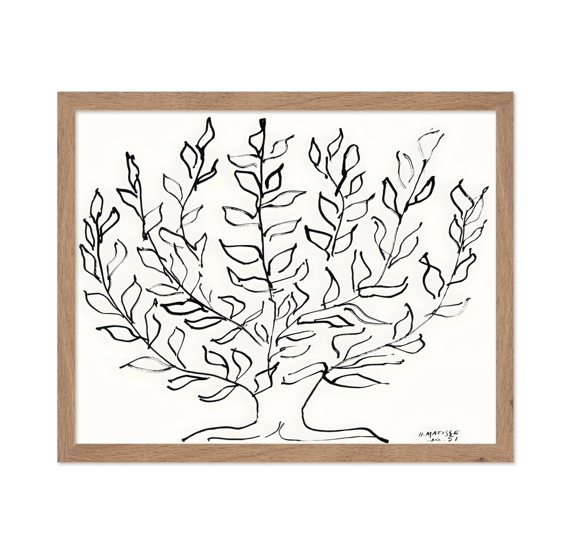 Henri Matisse - Plain Tree No2