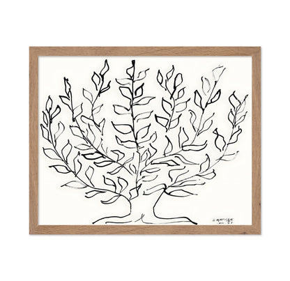 Henri Matisse - Plain Tree No2