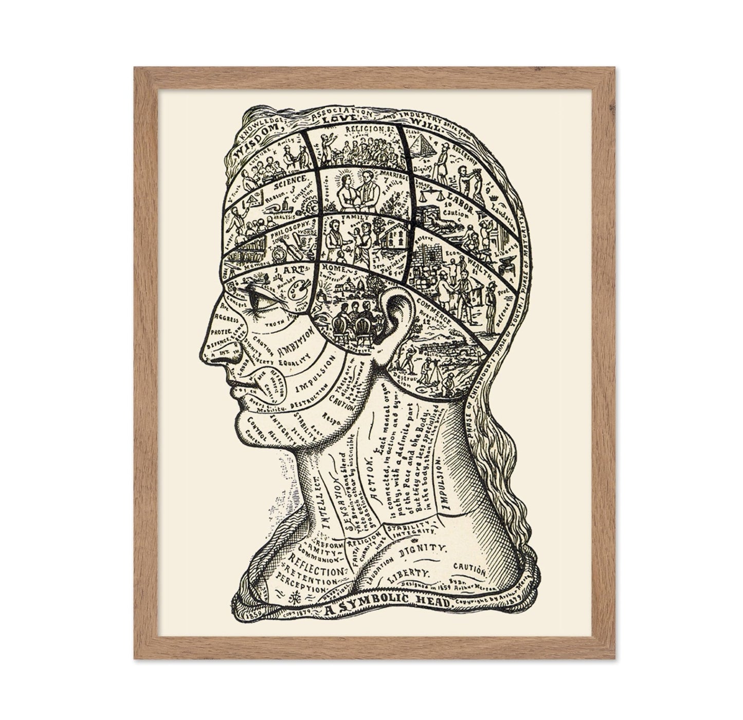 A Symbolic Head, Phrenology Diagram
