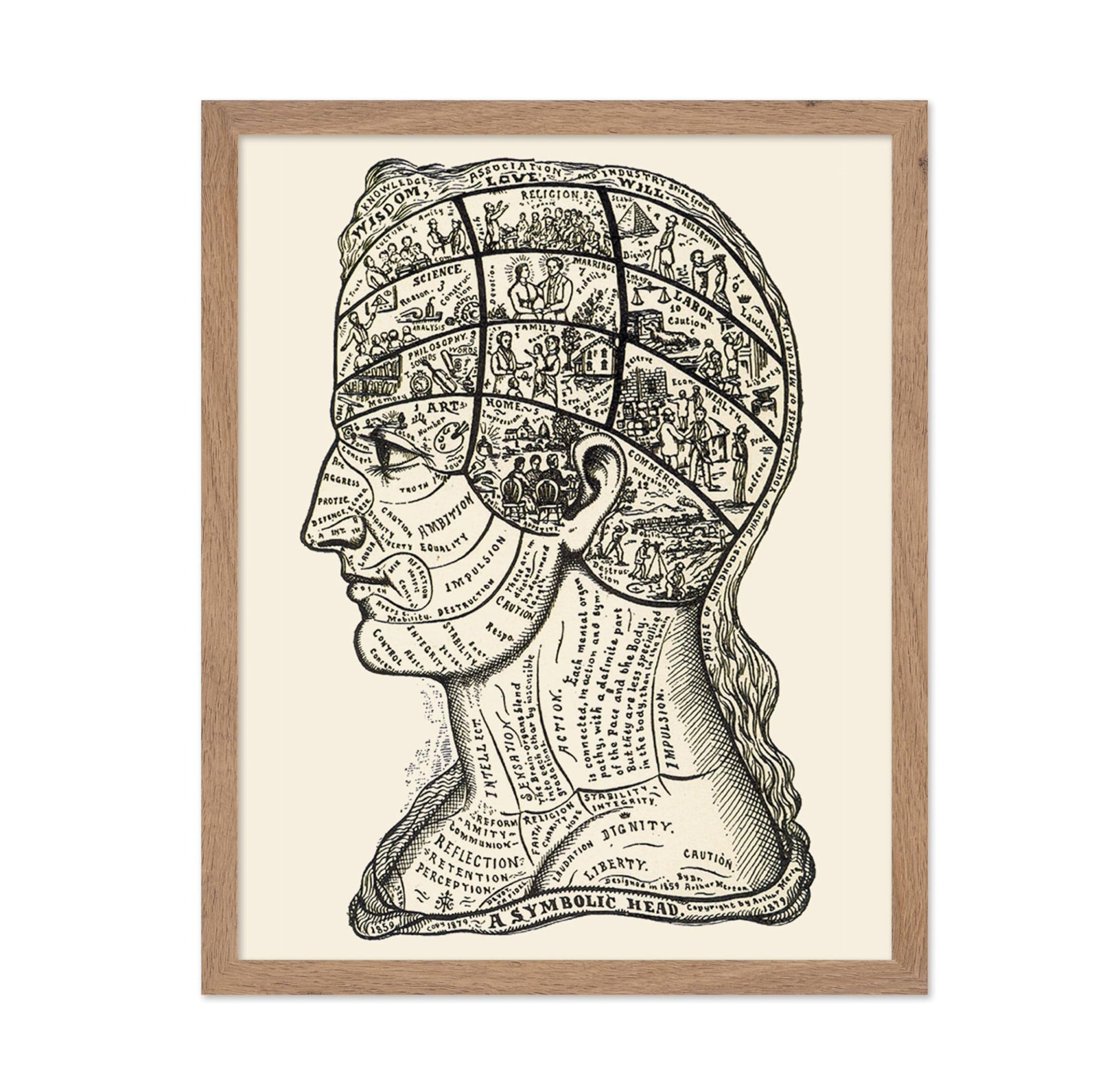 A Symbolic Head, Phrenology Diagram