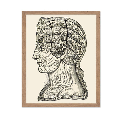 A Symbolic Head, Phrenology Diagram