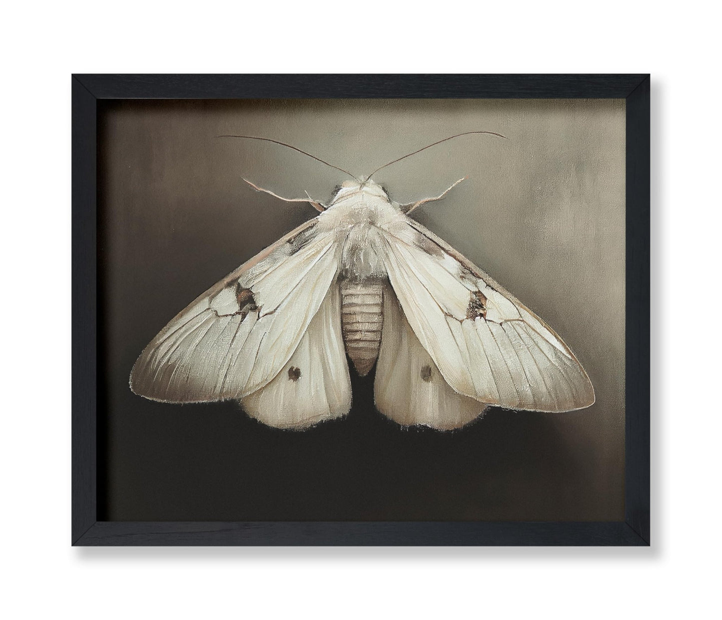 Moth