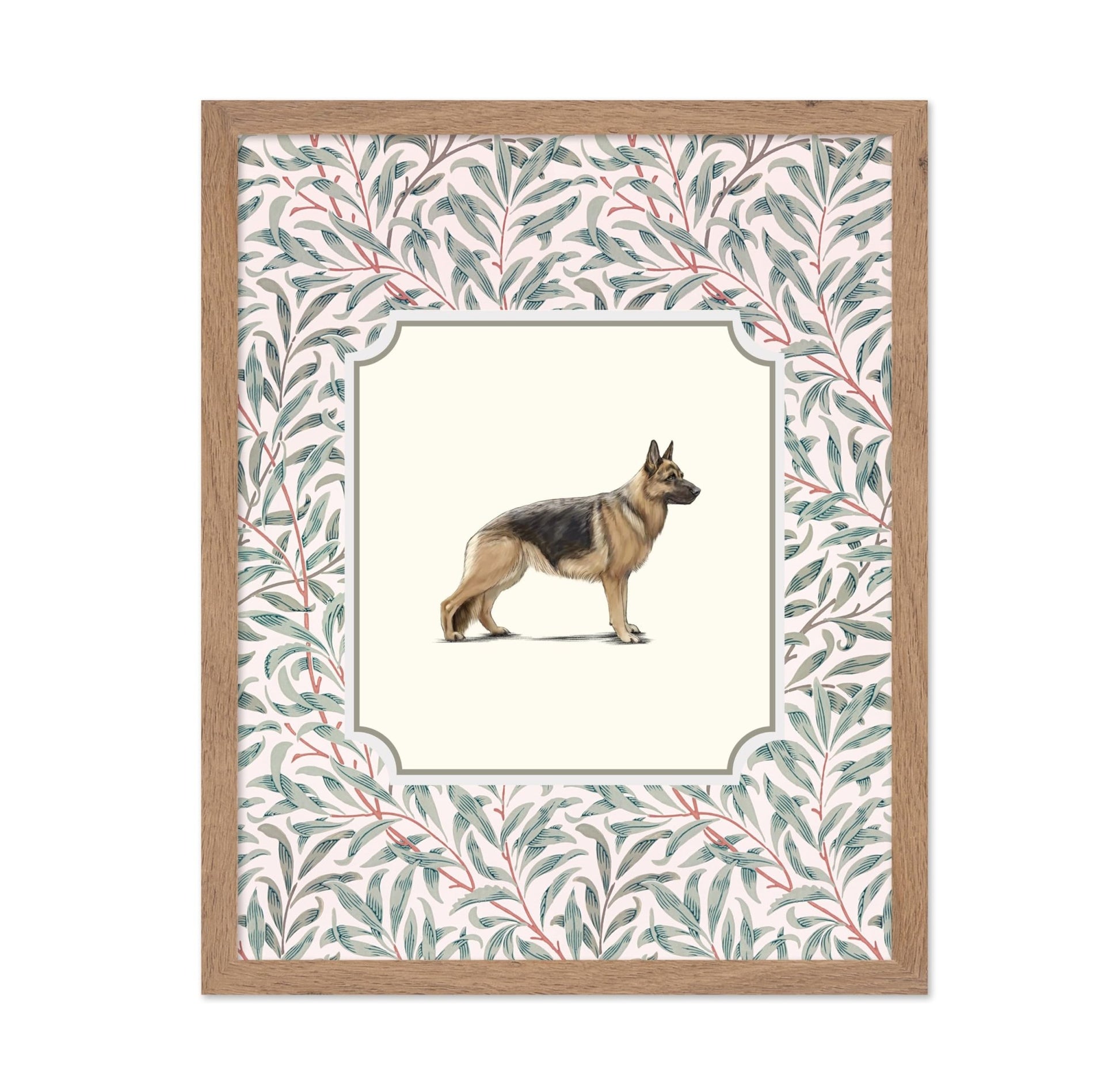 German Shepherd