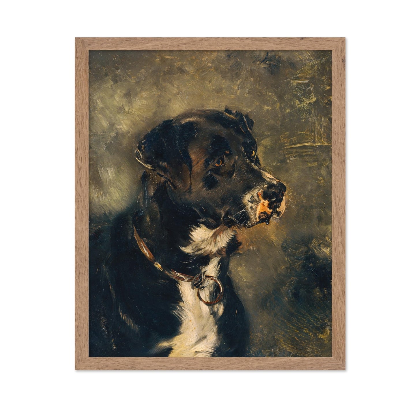 Head of A Butcher's Dog