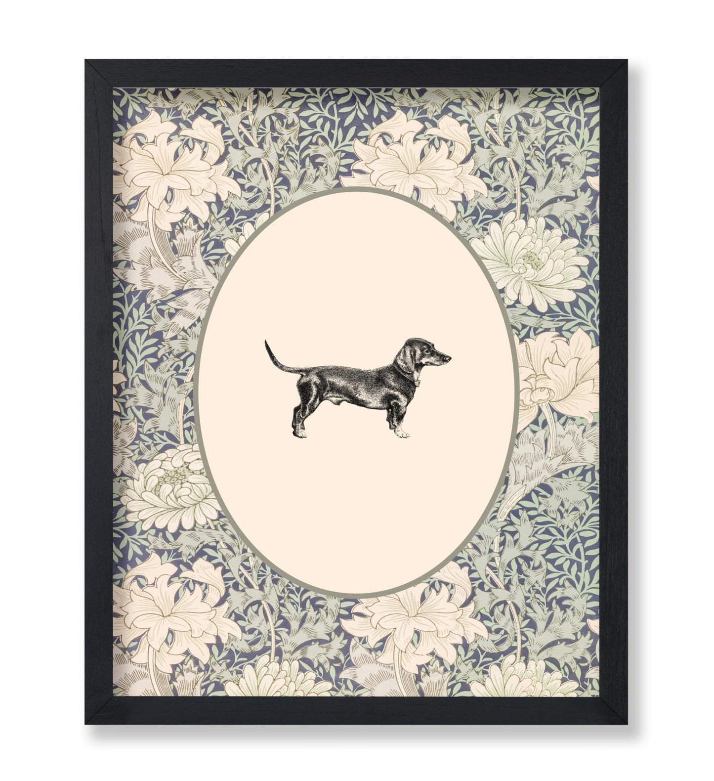 Dachshunds Portrait