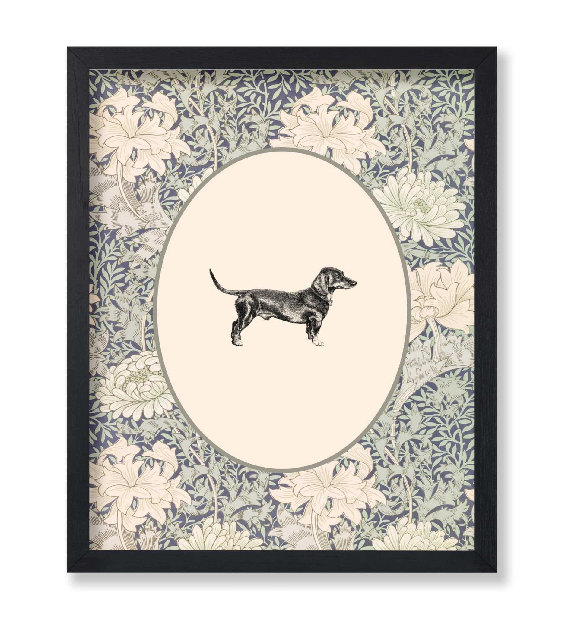 Dachshunds Portrait