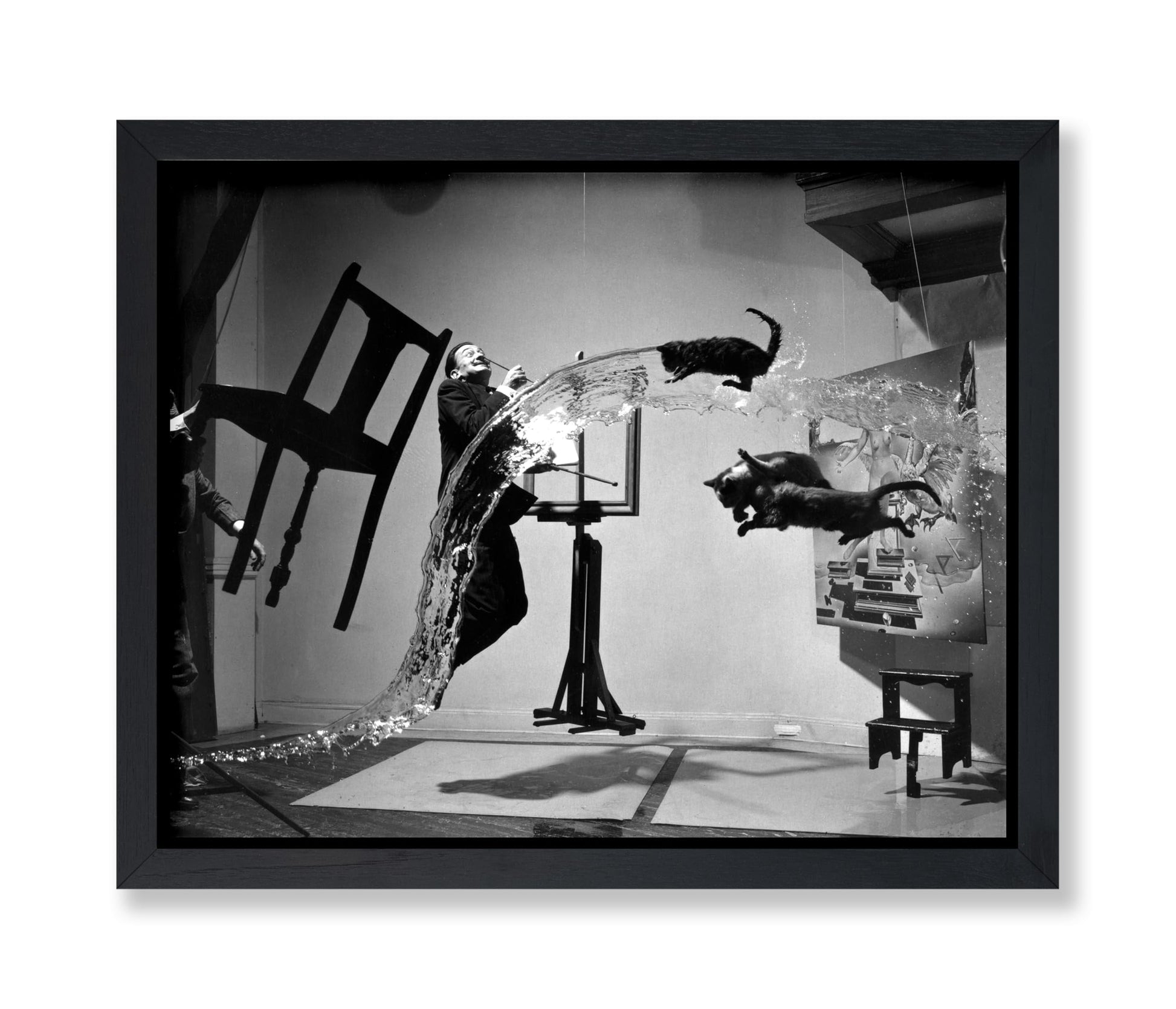 Salvador Dali Atomicus