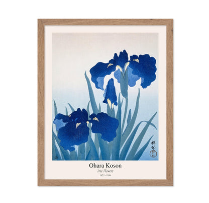 Ohara Koson - Iris Flowers No1